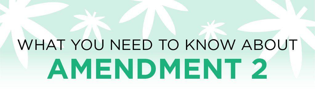 What You Need to Know About Amendment 2