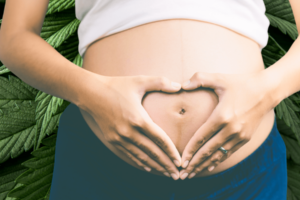 Can I Smoke Legal Marijuana While Pregnant?