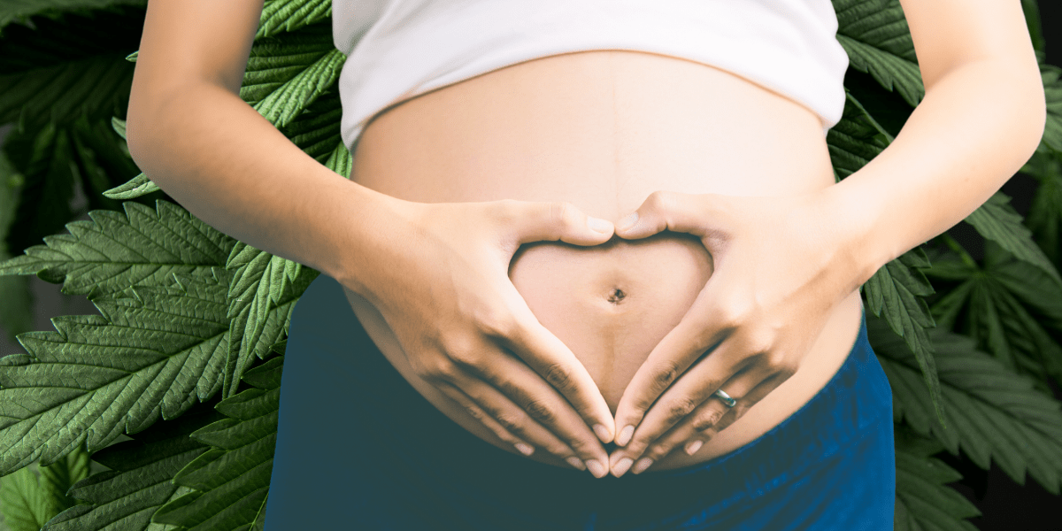 can i smoke legal marijuana while pregnant