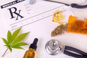 Who is the Best Marijuana Doctor in Florida?