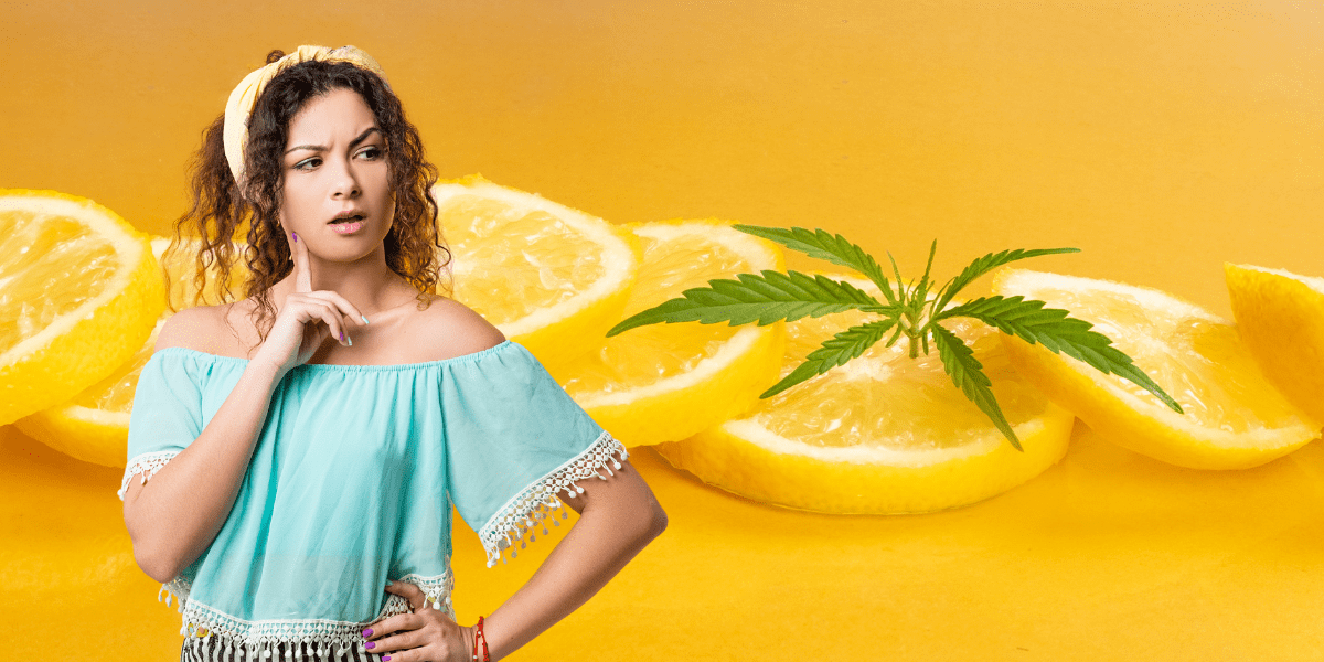 limonene is a terpene you need to know about