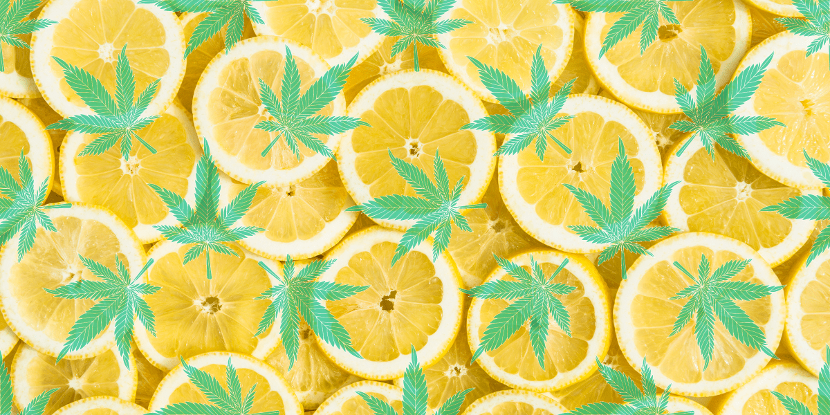 limonene terpene