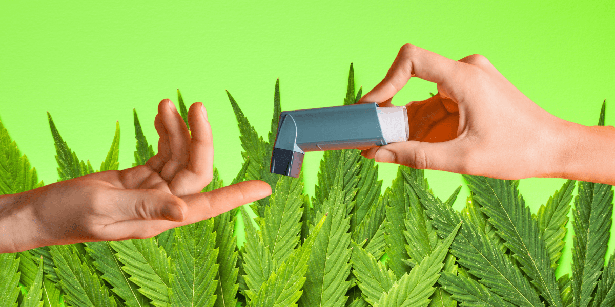 everything you need to know about cannabis inhalers