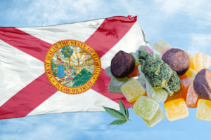 Marijuana Edibles in Florida: Everything You Need to Know