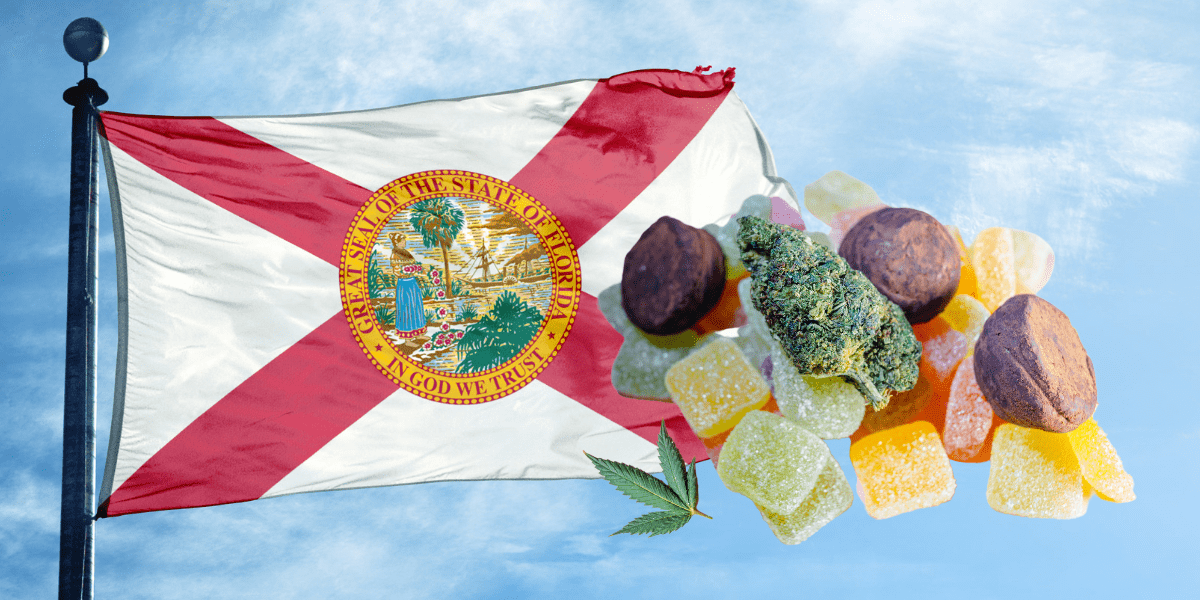 edible marijuana laws in florida