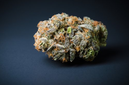 All About Blue Dream