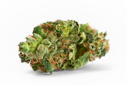 Exotic Reserve - Crude Cake (S) – express buds