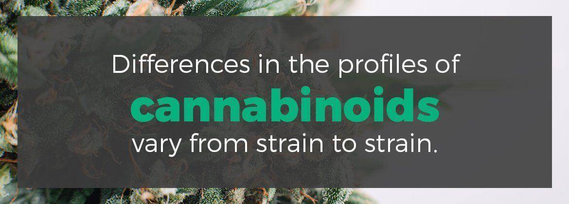 Differences in the profiles of cannabinoids vary from strain to strain.