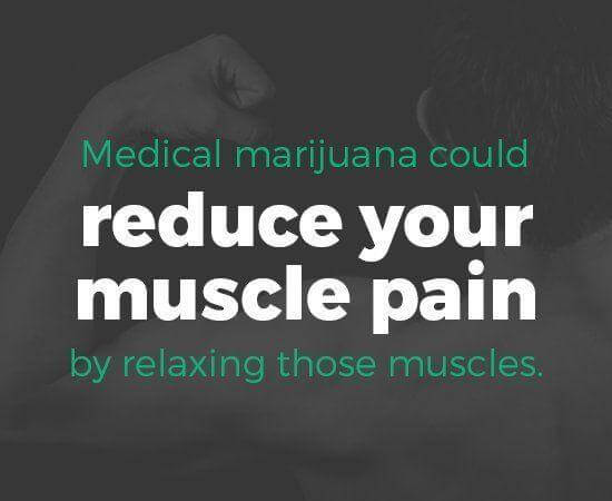 marijuana reduce muscle pain