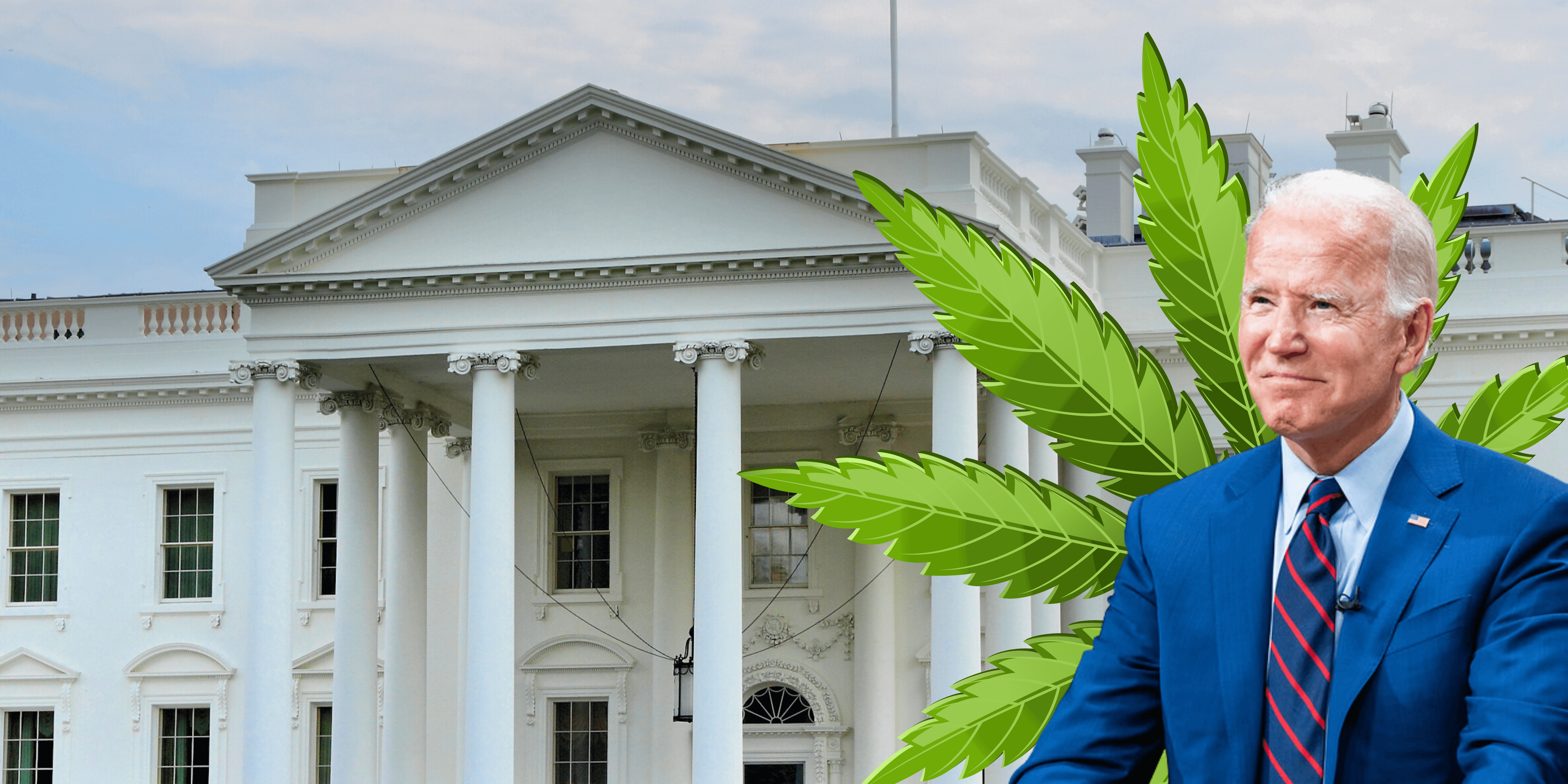 President Biden Cannabis Pardons