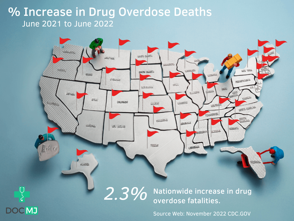 Drug overdose fatalities usa 2021 to 2022