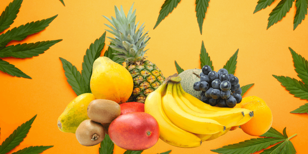 forbidden fruit cannabis strain