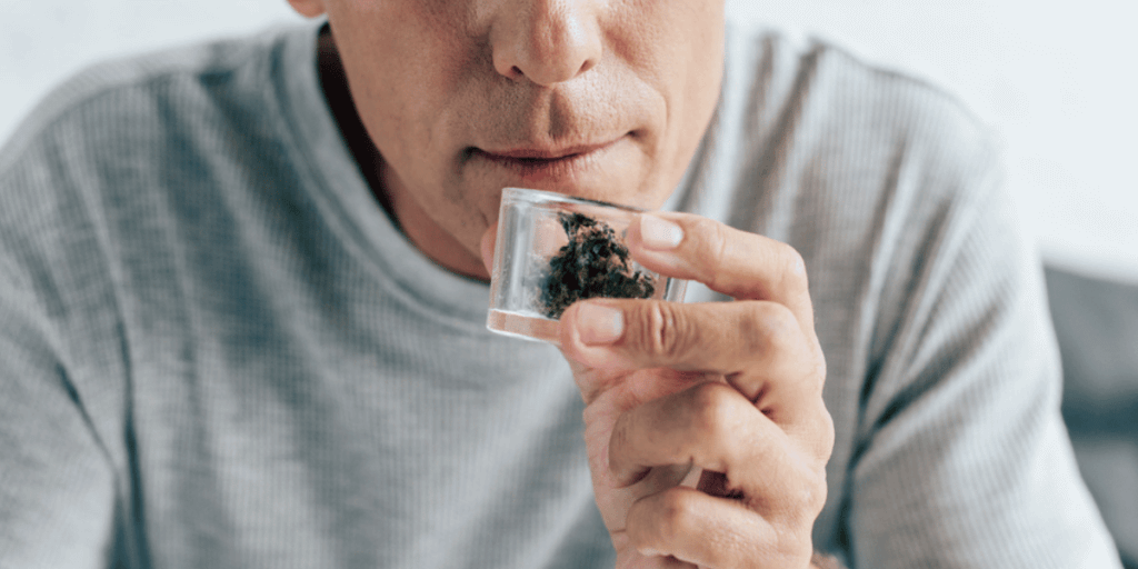 healthy cannabis terpenes