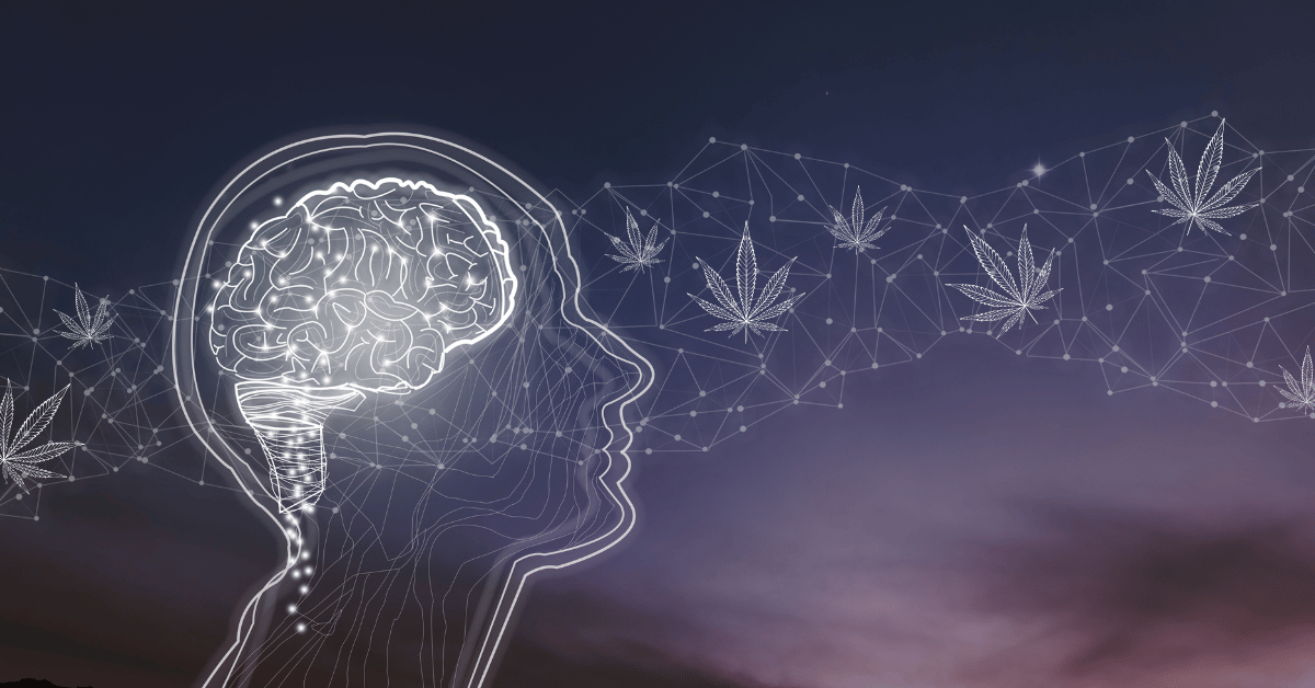 how marijuana affects your brain docmj