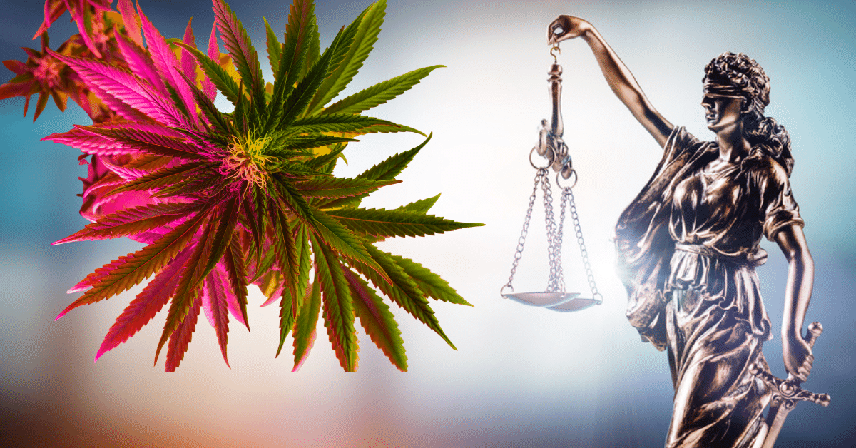 Can You Use Medical Marijuana on Probation? DocMJ