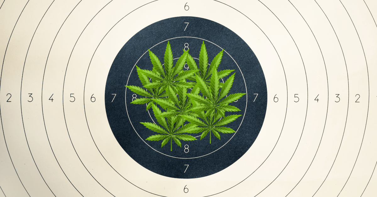 florida gun laws cannabis