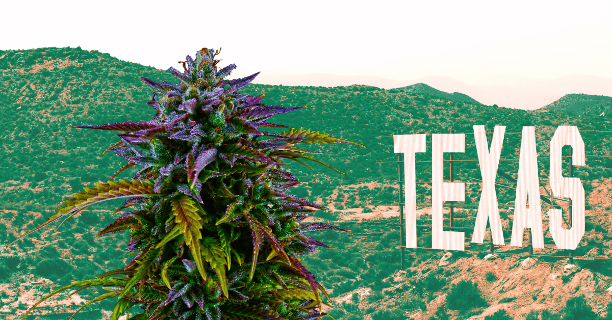 There�s a legal weed sold in Texas. But can you get high on it