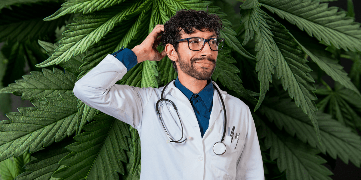 the dark side of illegal cannabis 5 health hazards you should know about