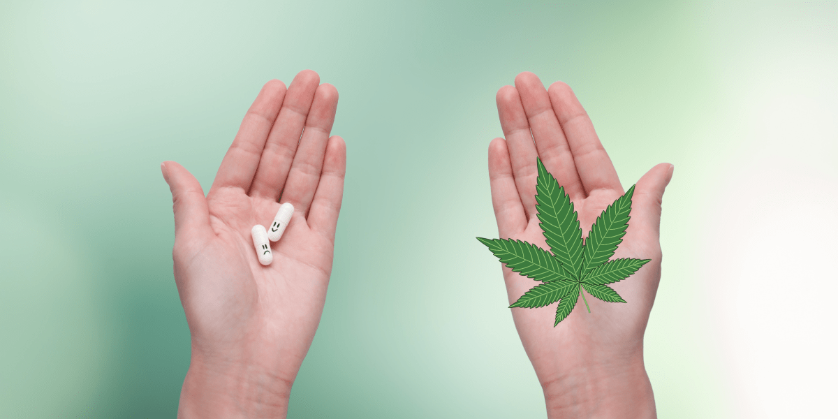 how does cannabis interact with antidepressants