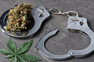 What Are the Differences Between Decriminalization and Recreational Use?
