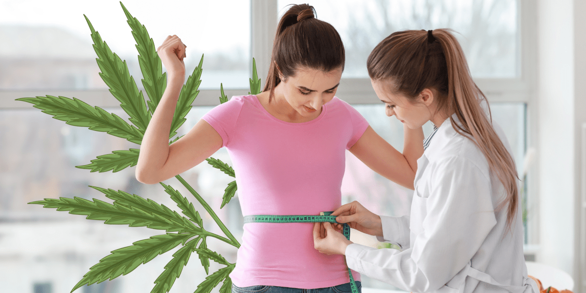 the impact of marijuana on weight loss fact or fiction